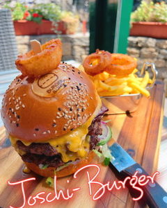 Alm-Joshi “Der Klassiker”