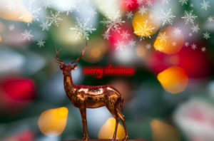 Mehr über den Artikel erfahren 🎄ÖFFNUNGSZEITEN 2025 🎄Weihnachten🎄 Silvester 🪅  Neujahr 🎉